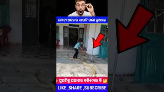 ଶେଷରେ ଅଜଗର ସାପଟି ଗଲା କୁଆଡେ  Odia Moral Stories Odia Shorts Story Odia Gapa #short #viral #ytshort