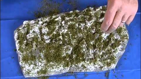 Working with Scenic Textures MPEG 2 Program stream, 15 Mbps