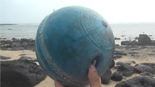 Explore the pristine beach with many discovered objects
