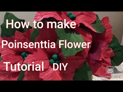 #poinsettia #tutorial #firstatempt - YouTube