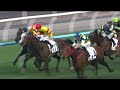 Racing Passport | G3 Sha Tin Vase Preview