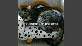 Bedtimes Call - Baby Sleep Music