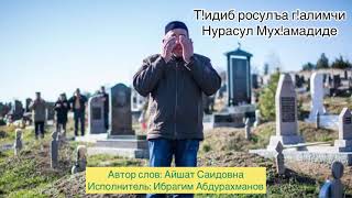 Т!идиб росулъа г!алимчи Нурасул Мух!амадиде 📚