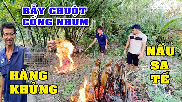Thăm Bẫy Chuột Cống Nhum Và Cái Kết, Chuột Cống Nhum Nấu Sa Tế Món Ngon Miền Tây/NGÃ NĂM TV