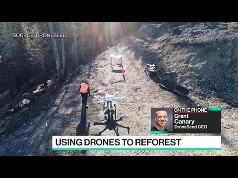 Reforesting With Drones After Wildfires