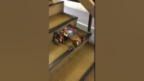 Stairclimbing robot - Free University of Brussels