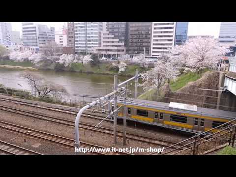 外堀の桜　2018年3月27日