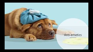 Gastrointestinal And Antiemetic Drugs (VETERINARY TECHNICIAN EDUCATION)