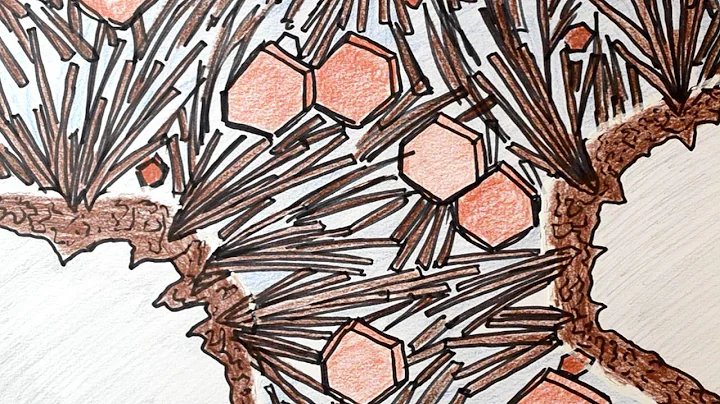 MinuteCement - Introduction to cement chemistry