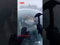 Wild Wolf Rescue Takes Unexpected Turn