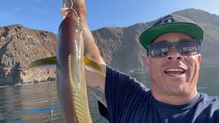 Slice of Paradise Rockfishing and more in the Channel Islands