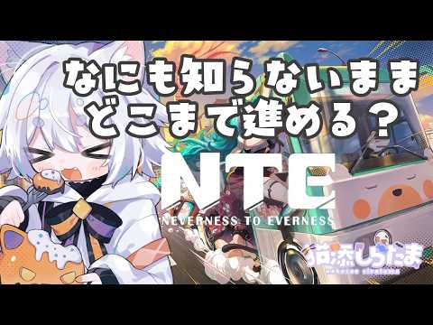 猫添しらたま - YouTube