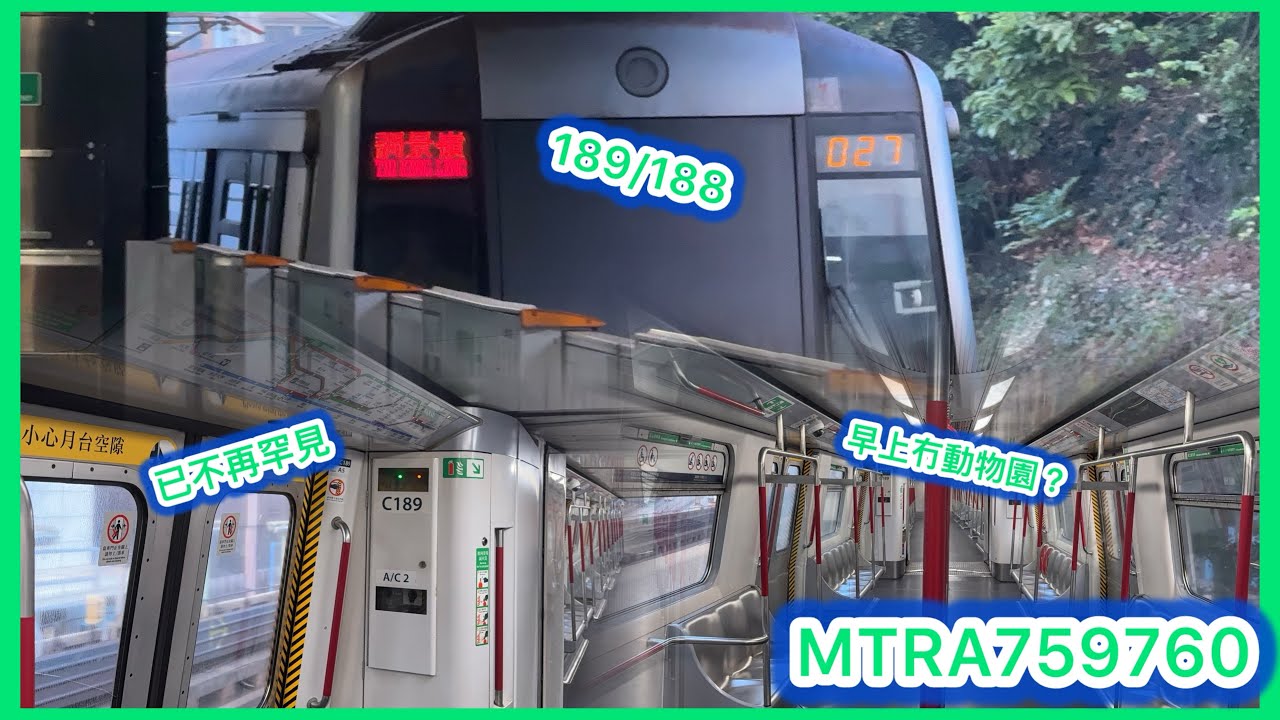[不再罕見的難得] 港鐵觀塘綫M-train A189/A188牛頭角起載至觀塘