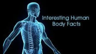 5 Unique Body Facts In Tamil Part 1 Brainy Bytes
