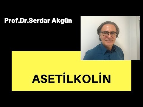 Farmakoloji, Asetilkolin, Serdar Akgün