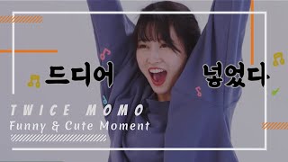 TWICE Momo - Funny & Cute Moments