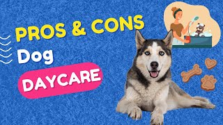 Pros and Cons Of Dog Daycare