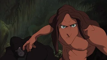 Tarzan Vs. Sabor