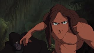 Tarzan Vs. Sabor