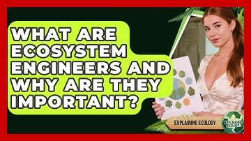 What Are Ecosystem Engineers And Why Are They Important? - Explaining Ecology