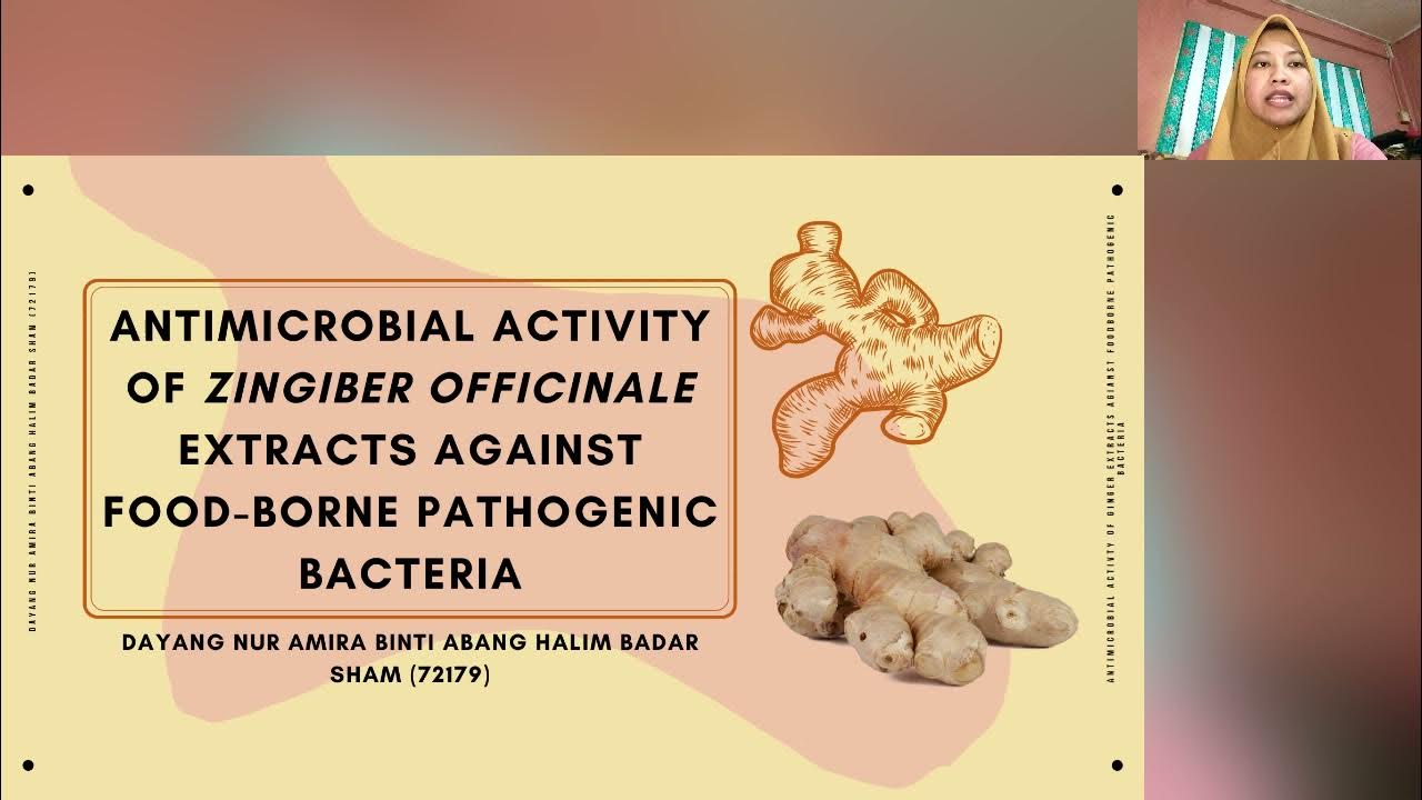 STF2083 Poster Presentation (Antimicrobial Activity of Ginger against