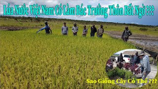 Thế Nhân || Dẫn Bác Trưởng Thôn Gương Mẫu Đi Thăm Mô Hình Canh Tác Lúa Nước Việt Nam Ở Việt Phi Farm