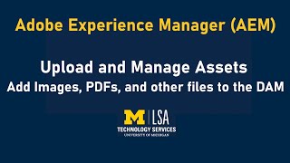 AEM Training: Upload images and files to the Digital Assets Manager (DAM)