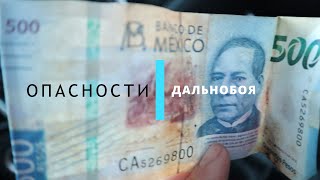 Опасности работы дальнобойщиком в США!