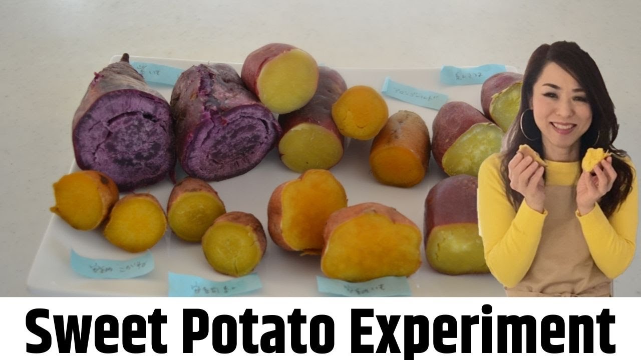 Sweet Potato Experiment | Baked vs Steamed vs ◯◯ （EP310） | Kitchen Princess Bamboo