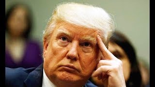 Trump Admin Considering Targeted Travel Ban