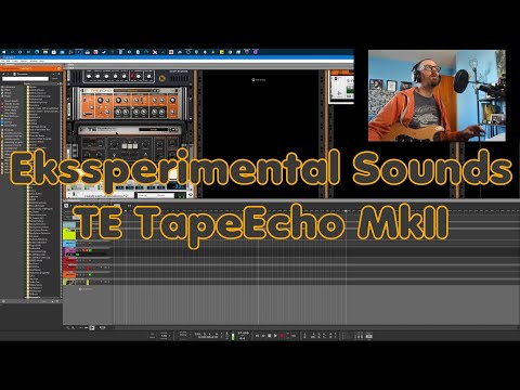 REview - TE TapeEcho MkII (Ekssperimental Sounds)