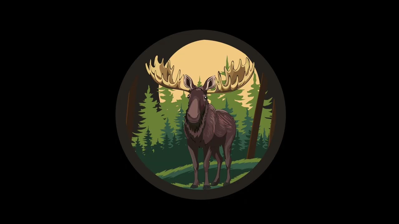 Classe de 5e année