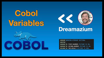 Cobol Variables