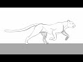 4 legged run