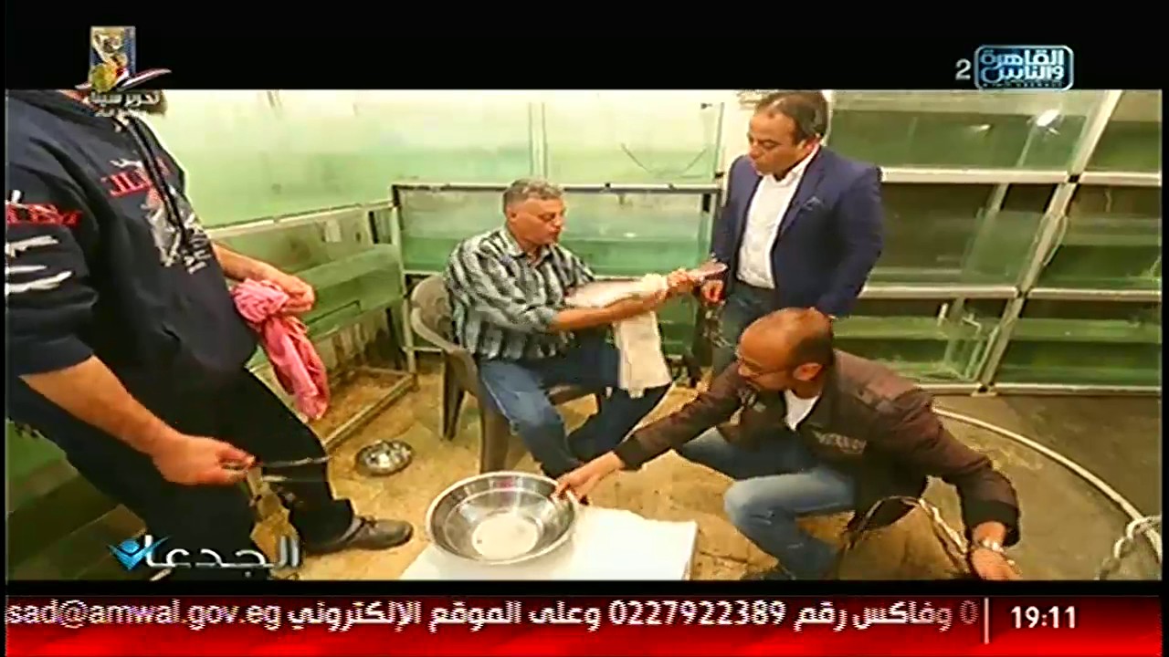 الجدعان: سمكه الباسا كأسماك زينه وحجمها يزداد بسرعه