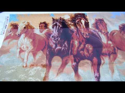 Кони, отчет №1.