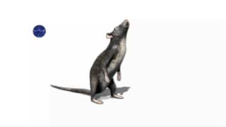 Gra dla Kotów - World's best iPad Game for Cats screenshot 1