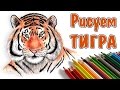 РИСУЕМ ТИГРА. Draw а tiger