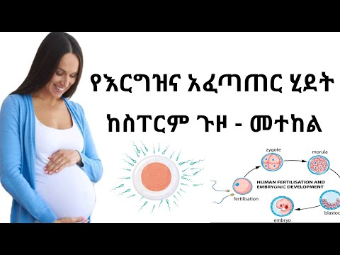 ቪዲዮ: የሕዋስ ሽፋን የሕዋስ ግድግዳውን እንዴት ይረዳል?