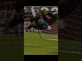 Higuita scorpion kick save