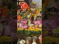 Krishna #Goala #Kanhaiyya #Murliwala #makhanchor #shortsfeed #fypppppppppppppppppppppppppppppppppppp