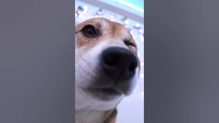 Cutout Transition Tutorial in CapCut🔥| CapCut Tutorial #shorts #viralshorts #edit #capcutedit