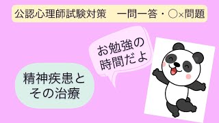 やる気が出ない時・息抜き時間に見る動画！ 公認心理師試験対策 一問一答○×問題　聞き流し 精神疾患とその治療part12