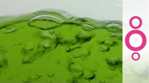 How to produce energy from waste water - do you know?