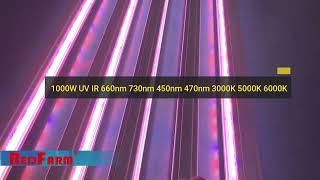 RedFarm LED Grow Lights Full Spectrum