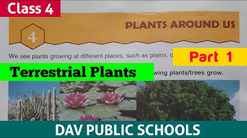 class 4 science chapter 4 plants around us