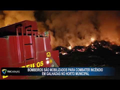 Bombeiros são mobilizados para combater incêndio no horto municipal