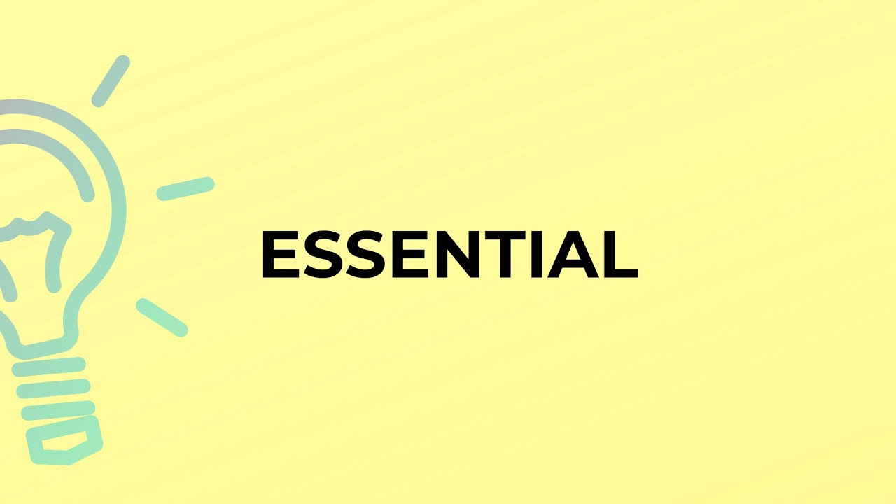 What Is The Meaning Of The Word Essential Youtube