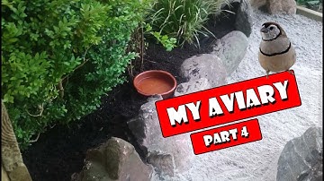 How To Build a Bird Aviary Setup, part 4, a Natural Interior