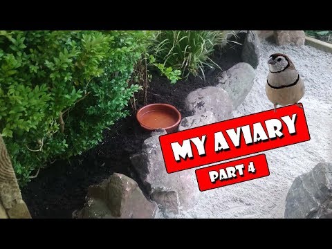 How To Build a Bird Aviary Setup, part 4, a Natural Interior